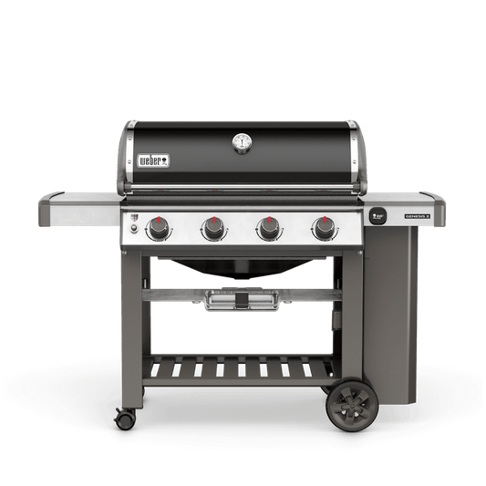 Weber Genesis II E-410 NG